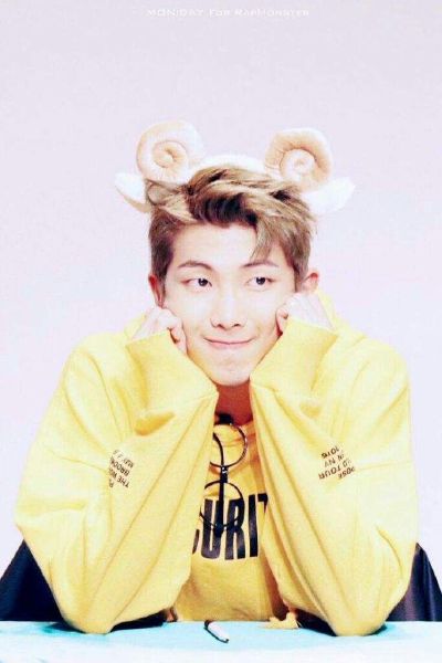 Are you Namjoon's type - Test
