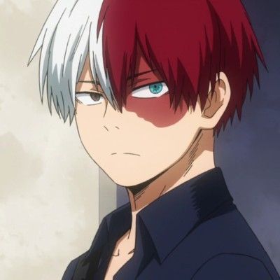 How well do you know Shoto Todoroki? - Test