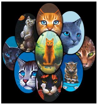 Warrior Cats Quiz: What Rank are you? - Quiz