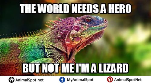 what is the best job for me quiz lizard