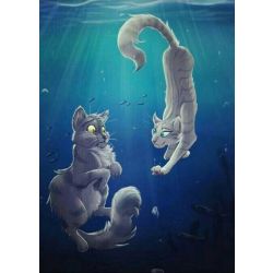 Warrior Cats Ships Quizzes