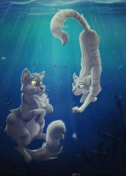 do-you-ship-who-i-ship-warrior-cats-quiz