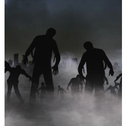 Would you survive a Zombie Apocalypse? - Quiz