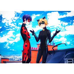 Does Cat Noir Love Me Quizzes
