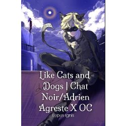 Like Cats And Dogs Chat Noiradrien Agreste X Oc