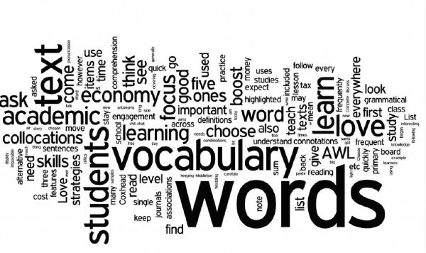 Do You Know What These Vocabulary Terms Mean Test