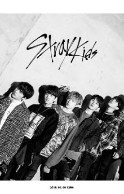 Which Stray Kids member are you? - Quiz