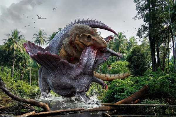 dinosaurs carnivores herbivores and omnivores