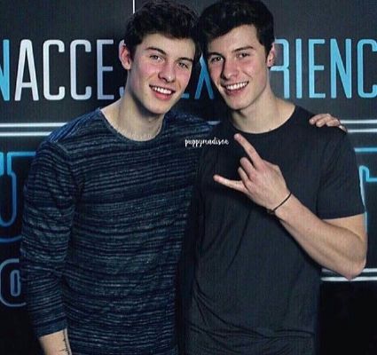 4 | The Mendes Twins ( Shawn Mendes )