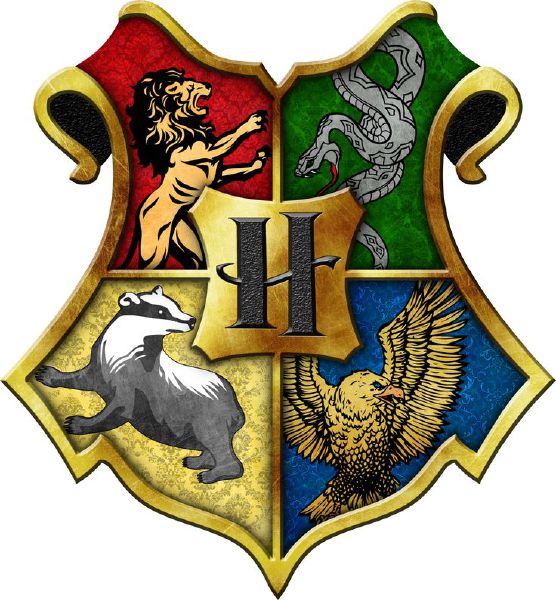 Hogwarts Life (long results) - Quiz