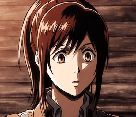 Who's that AOT Character? - Test