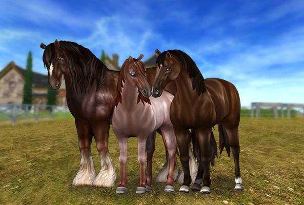 star stable database horse names