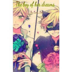 The Boy Of Her Dreams Adrien Agrestechat Noir X Shy Reader