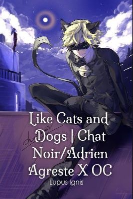 Like Cats And Dogs Chat Noiradrien Agreste X Oc