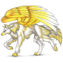 anime wolf with wings
