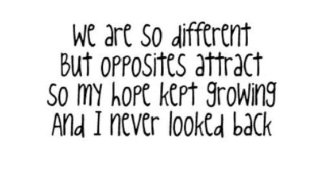 Opposites Attract by Camilla Isley Opposites Attract by Camilla Isley