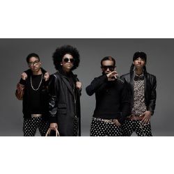 Mindless Behavior Quizzes