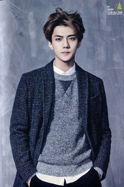Worth The Wait Sehun X Reader Family One Shots