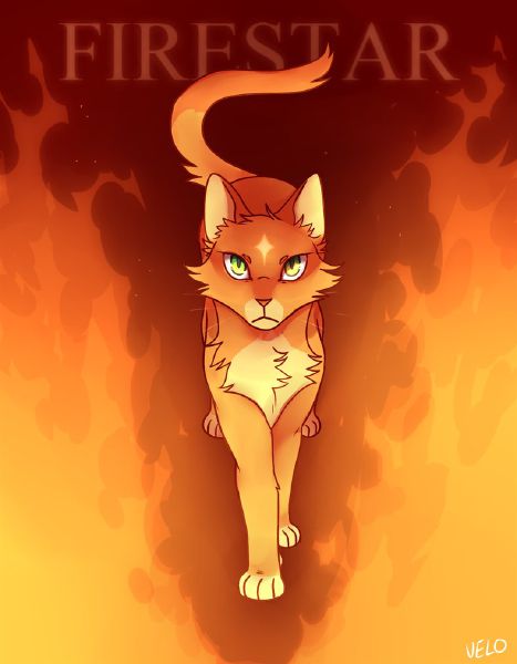 warrior cats firestar plush