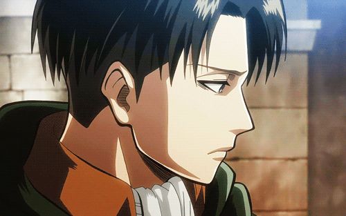 What does Levi think of you? - Quiz