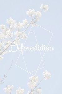 Kunimi Akira X Reader