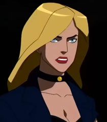 Ava meets Black Canary | Young Justice: Sonic Girl