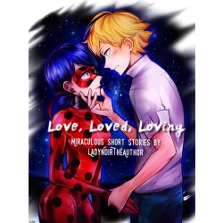 Ladybug X Chat Noir Stories