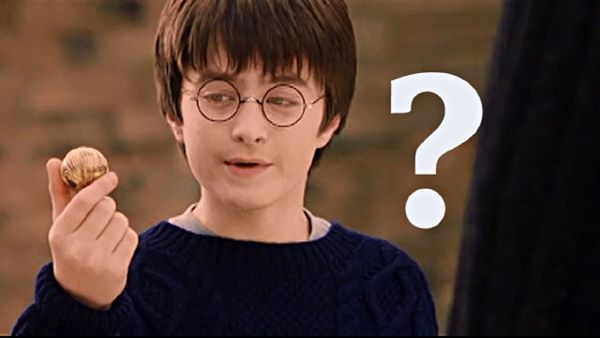 Guess The Harry Potter Character Test