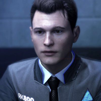 A Human Who Doesn't Hate (Connor x Reader)