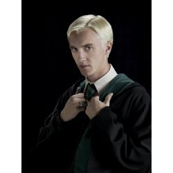 Does Draco Malfoy Love You? - Quiz