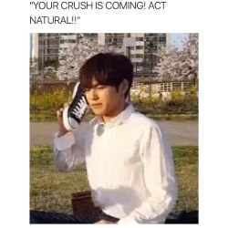 Can Bts Make You Laugh Quizzes