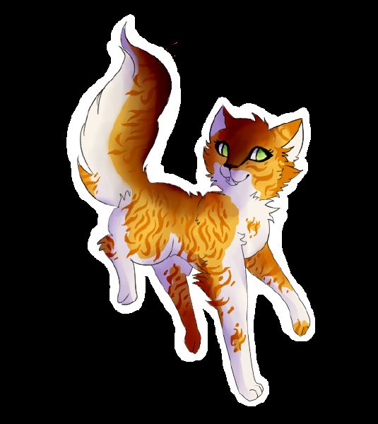 Warrior Cat Life Quiz