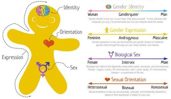 Gender identity quizzes