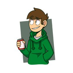 What does Edd from Eddsworld think of you? - Quiz