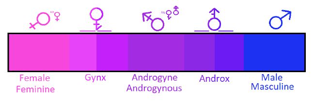 Identity quizzes gender Gender Identity