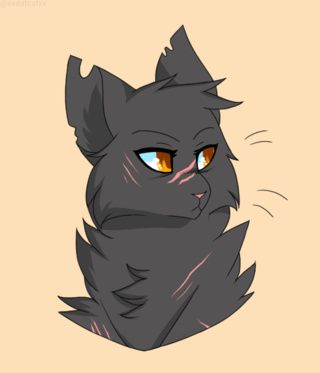 warrior cat stuffies