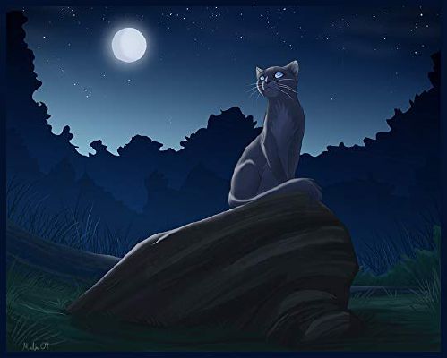 warrior cats willowkit