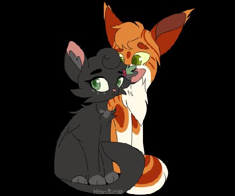 Fallen Leaves X Hollyleaf Shipping Book 1