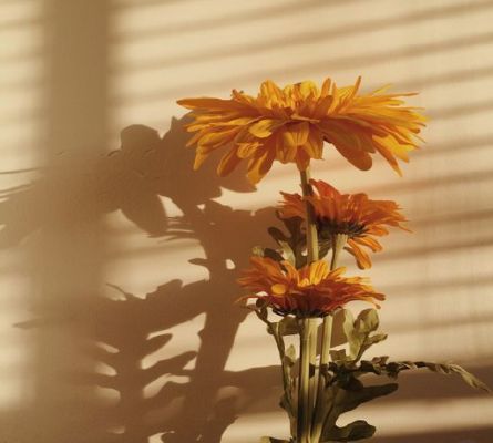 What Bts Aesthetic Are You Quiz