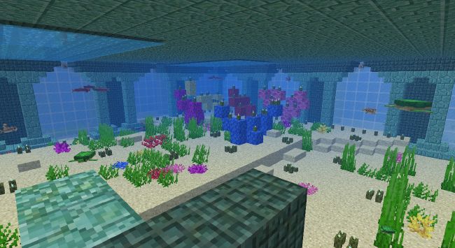 ocean base the large aquarium my