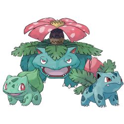 Bulbasaur Quiz - Test