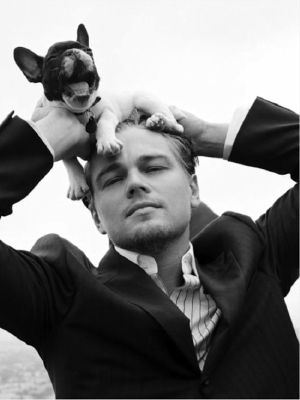 Write a letter to leonardo dicaprio image