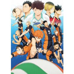 Guess the Haikyuu character based on the translation of ...