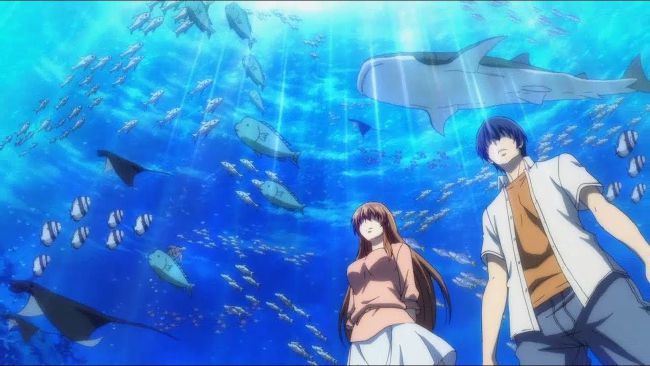 Grand blue iori love interest