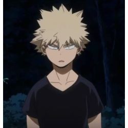 My Stupid Hero (Bakugou x Reader)