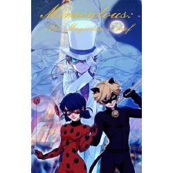 Miraculous Ladybug X Male Reader