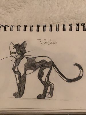 Tallstar Warrior Cats Art