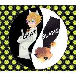 Chat Blanc Stories