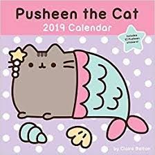 19 inch pusheen