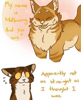 Pin by sxftie on ``humor`` | Warrior cats comics, Warrior cats books ...